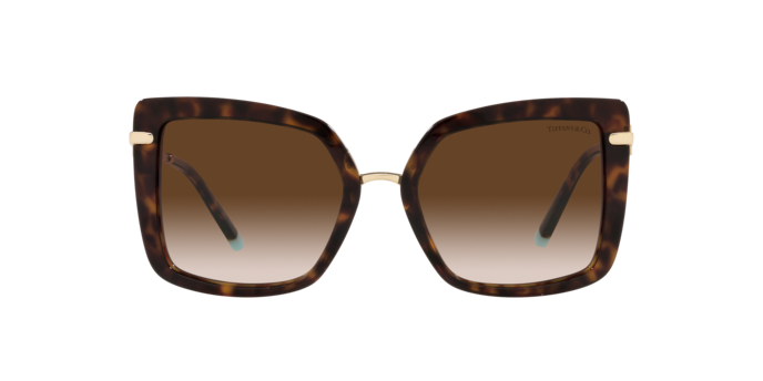 Tiffany Sunglasses TF4185 80153B