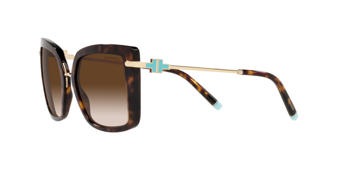 Tiffany Sunglasses TF4185 80153B