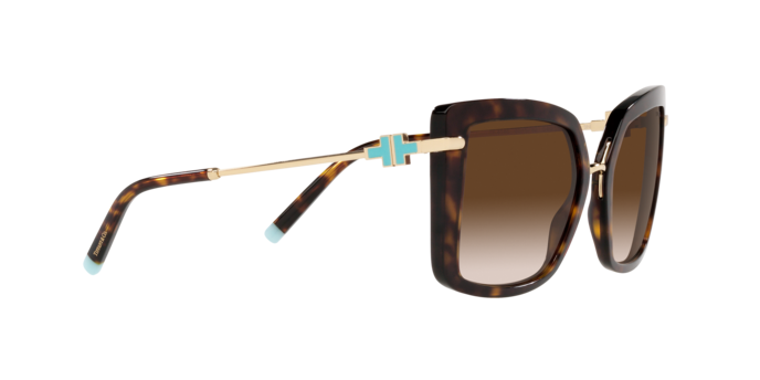 Tiffany Sunglasses TF4185 80153B