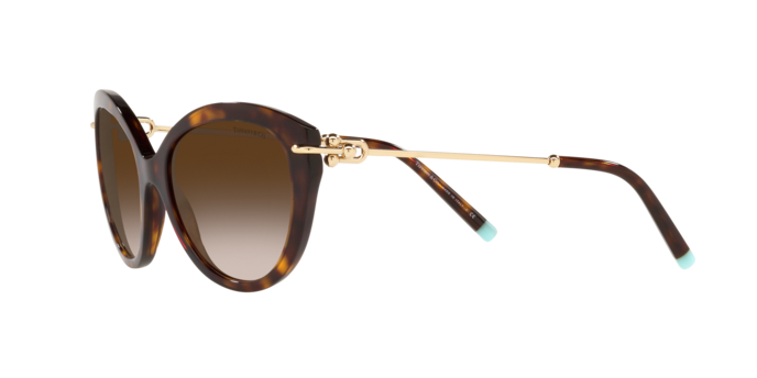 Tiffany Sunglasses TF4187 80153B