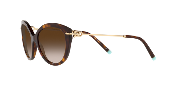 Tiffany Sunglasses TF4187 80153B