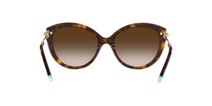 Tiffany Sunglasses TF4187 80153B