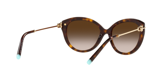 Tiffany Sunglasses TF4187 80153B