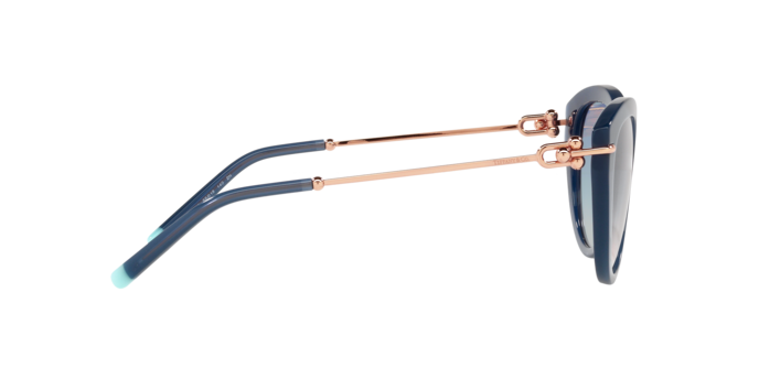 Tiffany Sunglasses TF4187 831516