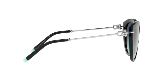 Tiffany Sunglasses TF4187 83429S