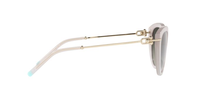 Tiffany Sunglasses TF4187 834311