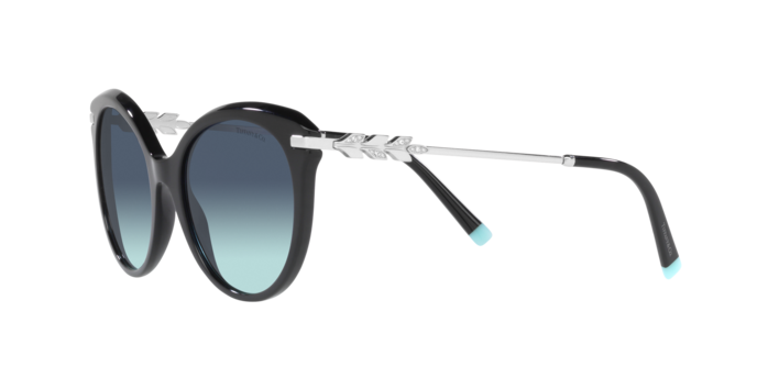 Tiffany Sunglasses TF4189B 80019S