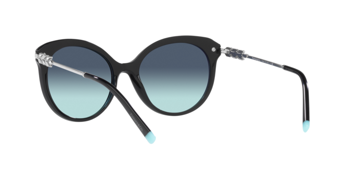 Tiffany Sunglasses TF4189B 80019S