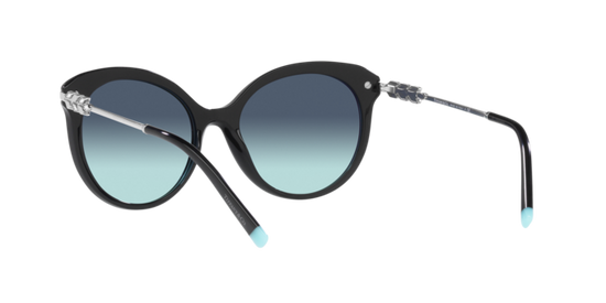 Tiffany Sunglasses TF4189B 80019S