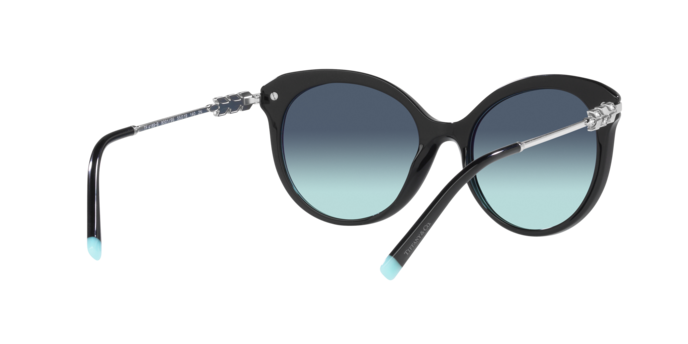 Tiffany Sunglasses TF4189B 80019S