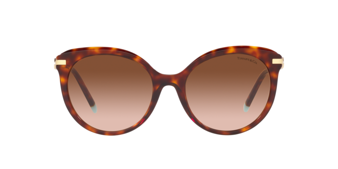 Tiffany Sunglasses TF4189B 80023B