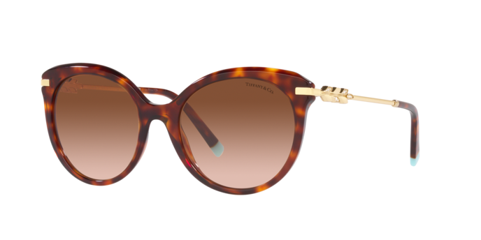 Tiffany Sunglasses TF4189B 80023B
