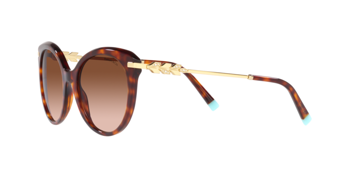 Tiffany Sunglasses TF4189B 80023B