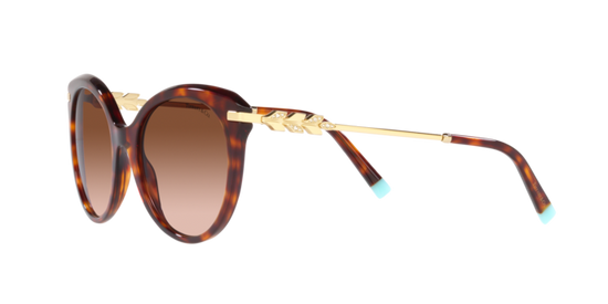 Tiffany Sunglasses TF4189B 80023B