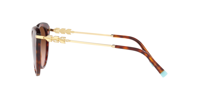 Tiffany Sunglasses TF4189B 80023B