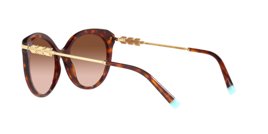 Tiffany Sunglasses TF4189B 80023B
