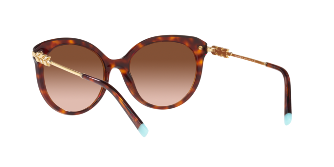 Tiffany Sunglasses TF4189B 80023B