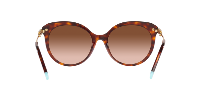 Tiffany Sunglasses TF4189B 80023B