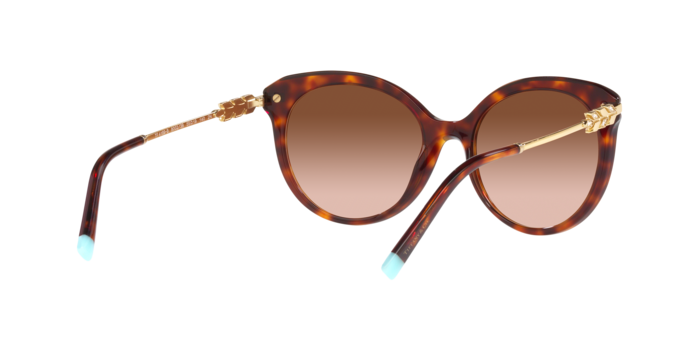 Tiffany Sunglasses TF4189B 80023B