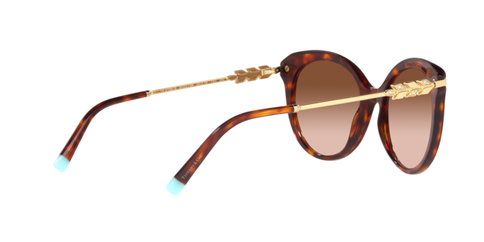 Tiffany Sunglasses TF4189B 80023B