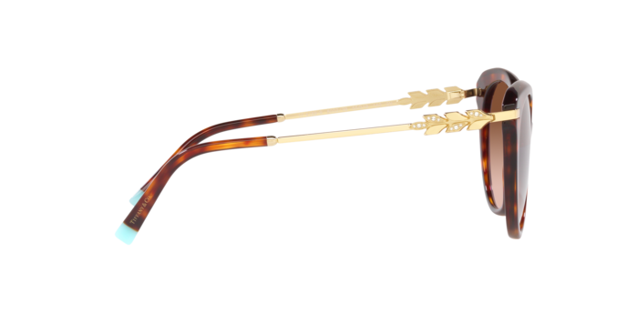 Tiffany Sunglasses TF4189B 80023B