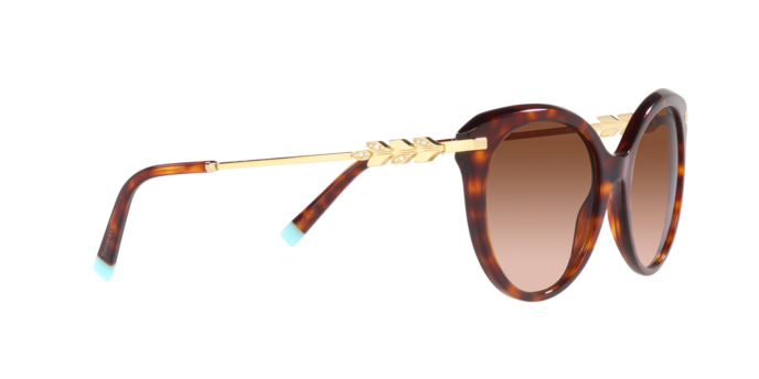 Tiffany Sunglasses TF4189B 80023B