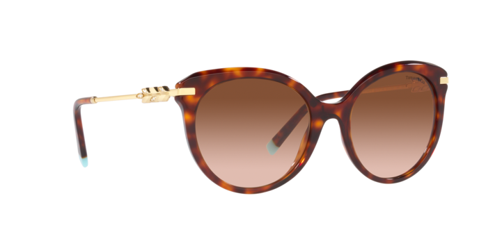 Tiffany Sunglasses TF4189B 80023B