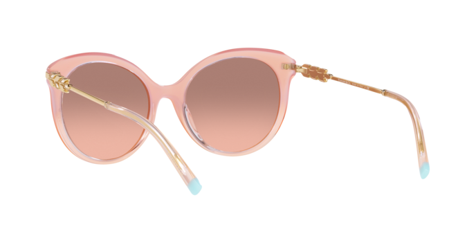 Tiffany Sunglasses TF4189B 833413