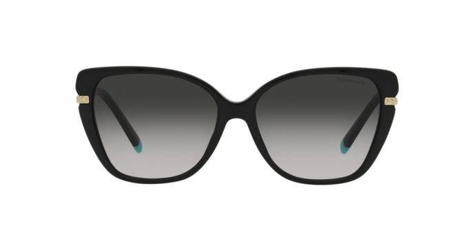 Tiffany Sunglasses TF4190 80013C