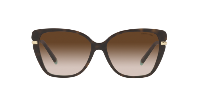 Tiffany Sunglasses TF4190 81343B