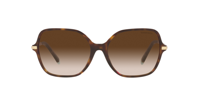 Tiffany Sunglasses TF4191 80153B