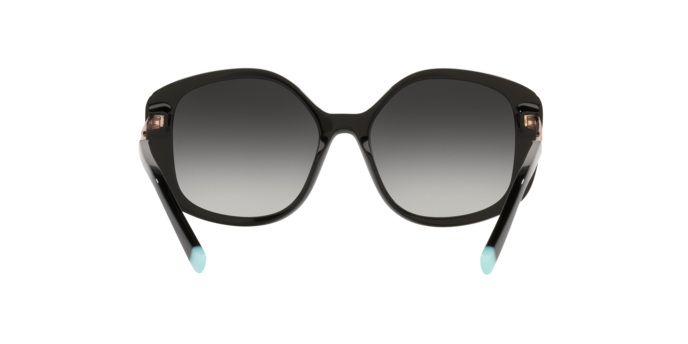 Tiffany Sunglasses TF4192 80013C