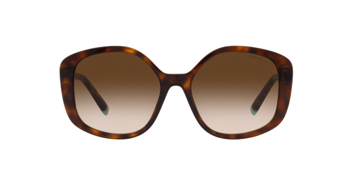 Tiffany Sunglasses TF4192 80023B