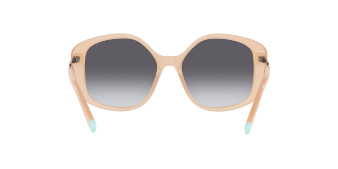 Tiffany Sunglasses TF4192 82683C