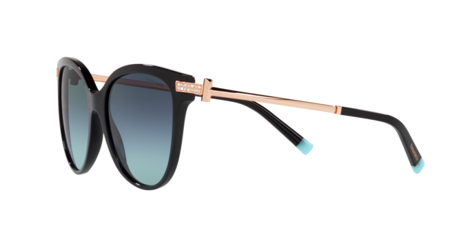 Tiffany Sunglasses TF4193B 80019S