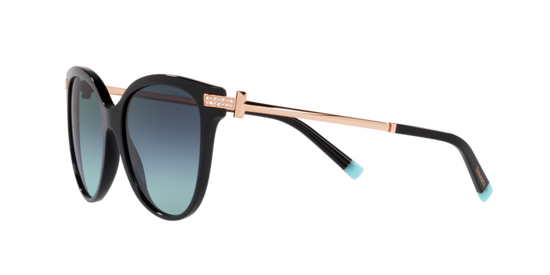 Tiffany Sunglasses TF4193B 80019S