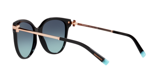 Tiffany Sunglasses TF4193B 80019S