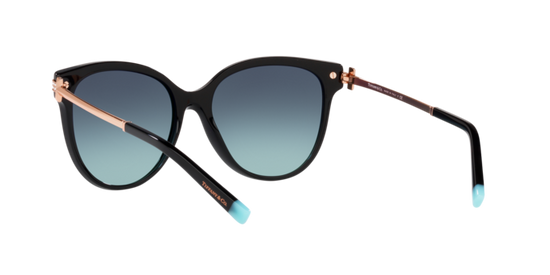 Tiffany Sunglasses TF4193B 80019S