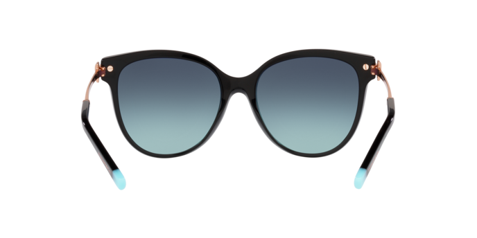 Tiffany Sunglasses TF4193B 80019S