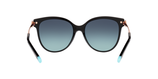 Tiffany Sunglasses TF4193B 80019S