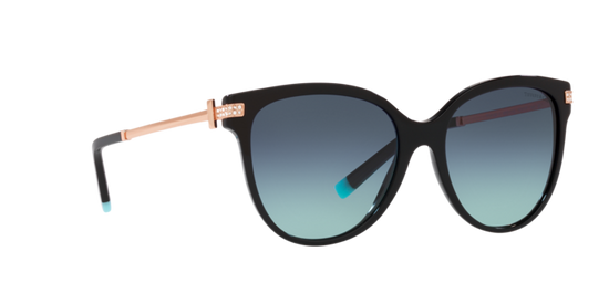 Tiffany Sunglasses TF4193B 80019S