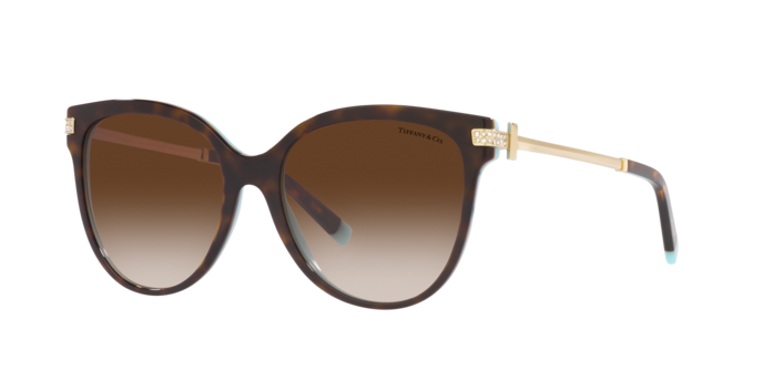 Tiffany Sunglasses TF4193B 81343B