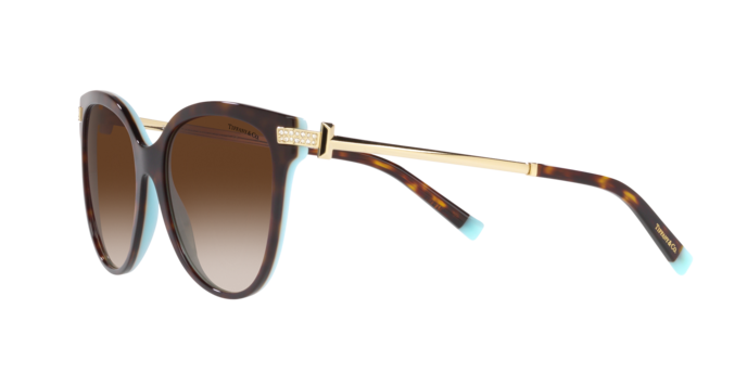 Tiffany Sunglasses TF4193B 81343B