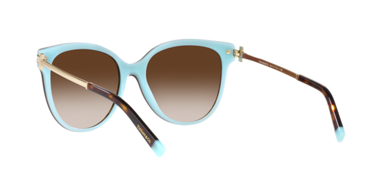 Tiffany Sunglasses TF4193B 81343B