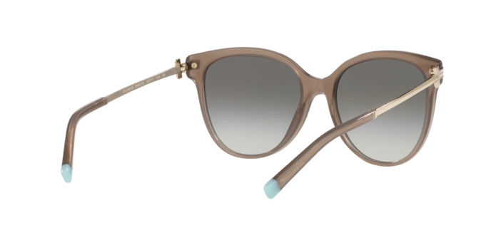 Tiffany TF4193B 83493C