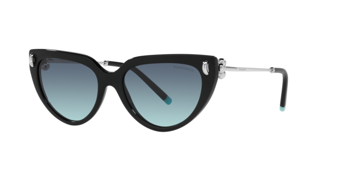 Tiffany Sunglasses TF4195 80019S