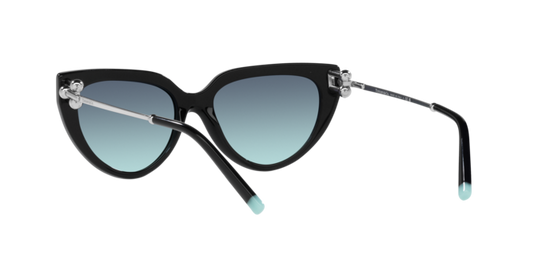 Tiffany Sunglasses TF4195 80019S