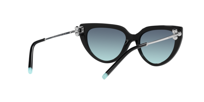 Tiffany Sunglasses TF4195 80019S