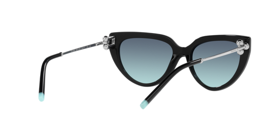 Tiffany Sunglasses TF4195 80019S