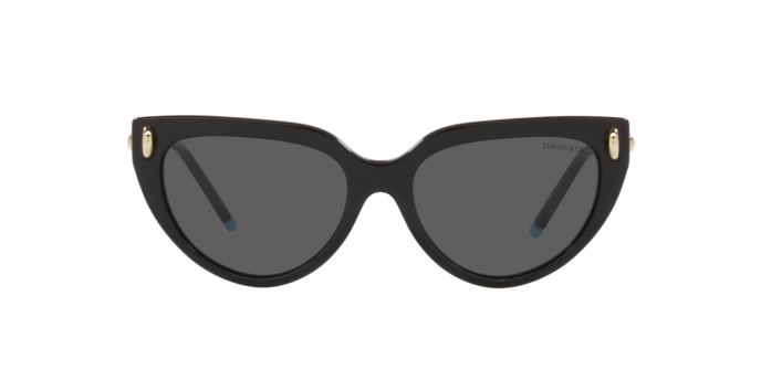 Tiffany Sunglasses TF4195 8001S4